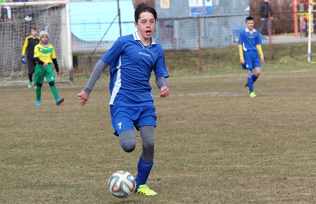 竞争生态 竞争生态