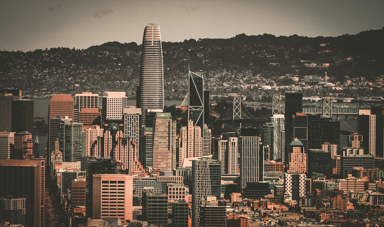 展示了自己 展示了自己